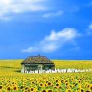 Everything Is Illuminated - galeria zdjęć - filmweb