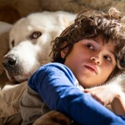 Belle et Sébastien: Nouvelle Génération - galeria zdjęć - filmweb