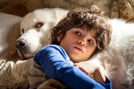 Bella i Sebastian: Nowe pokolenie - galeria zdjęć - filmweb