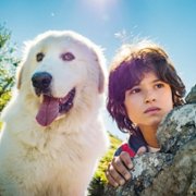 Belle et Sébastien: Nouvelle Génération - galeria zdjęć - filmweb