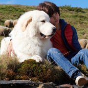 Belle et Sébastien: Nouvelle Génération - galeria zdjęć - filmweb