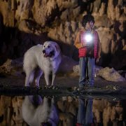 Belle et Sébastien: Nouvelle Génération - galeria zdjęć - filmweb