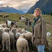 Belle et Sébastien: Nouvelle Génération - galeria zdjęć - filmweb