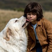 Belle et Sébastien: Nouvelle Génération - galeria zdjęć - filmweb