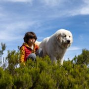 Belle et Sébastien: Nouvelle Génération - galeria zdjęć - filmweb
