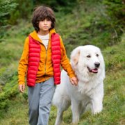 Belle et Sébastien: Nouvelle Génération - galeria zdjęć - filmweb