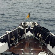 Chevalier - galeria zdjęć - filmweb