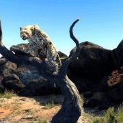 Cabela's Big Game Hunter 2012 - galeria zdjęć - filmweb