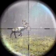 Cabela's Big Game Hunter 2012 - galeria zdjęć - filmweb