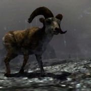 Cabela's Big Game Hunter 2012 - galeria zdjęć - filmweb