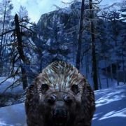 Cabela's Big Game Hunter 2012 - galeria zdjęć - filmweb