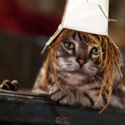 Stuart Little 2 - galeria zdjęć - filmweb