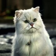 Stuart Little 2 - galeria zdjęć - filmweb