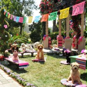 Beverly Hills Chihuahua 3 - galeria zdjęć - filmweb