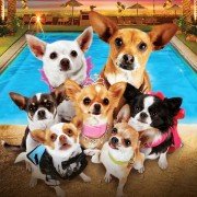 Beverly Hills Chihuahua 3 - galeria zdjęć - filmweb