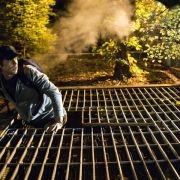 Traveler - galeria zdjęć - filmweb