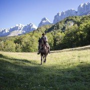 The Sisters Brothers - galeria zdjęć - filmweb
