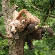 Les saisons - galeria zdjęć - filmweb