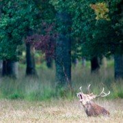 Les saisons - galeria zdjęć - filmweb