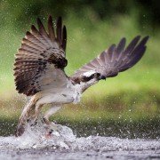 Les saisons - galeria zdjęć - filmweb