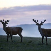 Les saisons - galeria zdjęć - filmweb