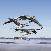 Les saisons - galeria zdjęć - filmweb