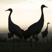 Les saisons - galeria zdjęć - filmweb