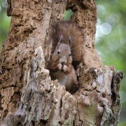 Les saisons - galeria zdjęć - filmweb