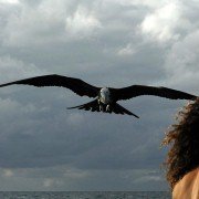 Alamar - galeria zdjęć - filmweb