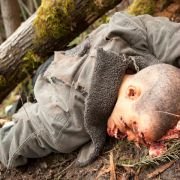 Wrecked - galeria zdjęć - filmweb