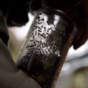 Wrecked - galeria zdjęć - filmweb