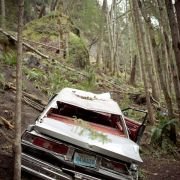 Wrecked - galeria zdjęć - filmweb