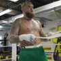 Odliczanie: Paul vs. Tyson - galeria zdjęć