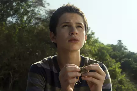 Wybrzeże moskitów - galeria zdjęć - filmweb