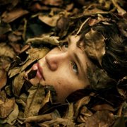 The Mosquito Coast - galeria zdjęć - filmweb