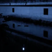 Nocny spacer - galeria zdjęć - filmweb