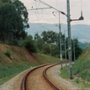 Z miłością! - galeria zdjęć