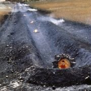 Superman - galeria zdjęć - filmweb