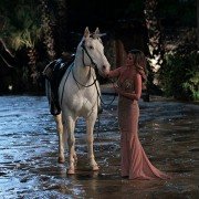 The Bachelor - galeria zdjęć - filmweb