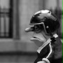 Mary i Max - galeria zdjęć