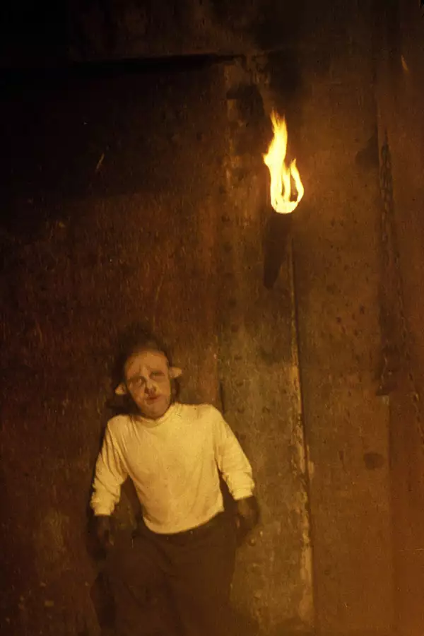 Potw&oacute;r z bagien - galeria zdjęć - filmweb