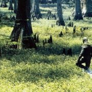 Swamp Thing - galeria zdjęć - filmweb