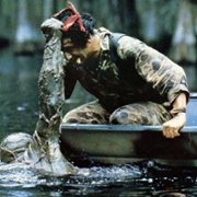 Swamp Thing - galeria zdjęć - filmweb