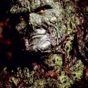 Swamp Thing - galeria zdjęć - filmweb