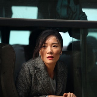 Moli Shen