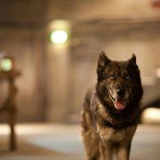 Ha-wool-ling - galeria zdjęć - filmweb