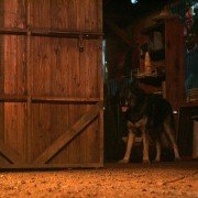 Ha-wool-ling - galeria zdjęć - filmweb