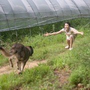 Ha-wool-ling - galeria zdjęć - filmweb