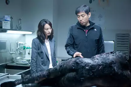 Ha-wool-ling - galeria zdjęć - filmweb