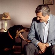 Sweet Liberty - galeria zdjęć - filmweb